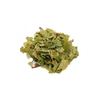 Birke (Betula alba L) - TT Blätter