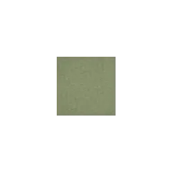 Couleur Vert militaire