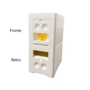 PITADEA – Fecundation hive in EPS