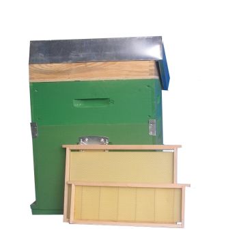 Ruche d.b. 10 cadres cube avec fond fixe en filet anti-varroa complet avec feuilles de cire montées