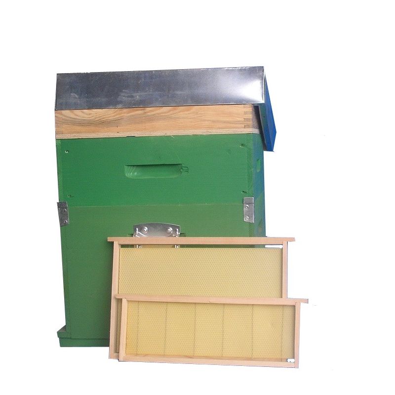 Ruche d.b. 10 cadres cube avec fond fixe en filet anti-varroa complet avec feuilles de cire montées