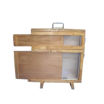 Observation ruche d.b. 1 nid d'abeilles avec nid d'abeilles