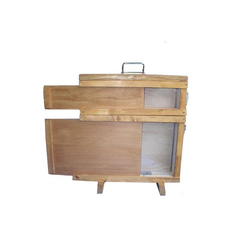 Beobachtungsbeute D.B. 1 Wabe mit Honigraum