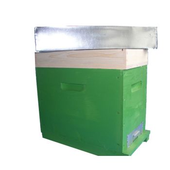 Dadant wooden Cubic Beehive 6 Honeycomb With Fixed Anti Varroa Bottom (only nest) Dadant Cubic Beehive 8 Honeycomb (Only Nest)