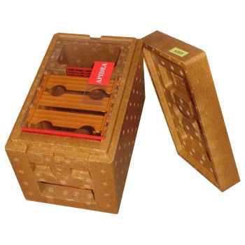 Nucleus hive fertilization apidea