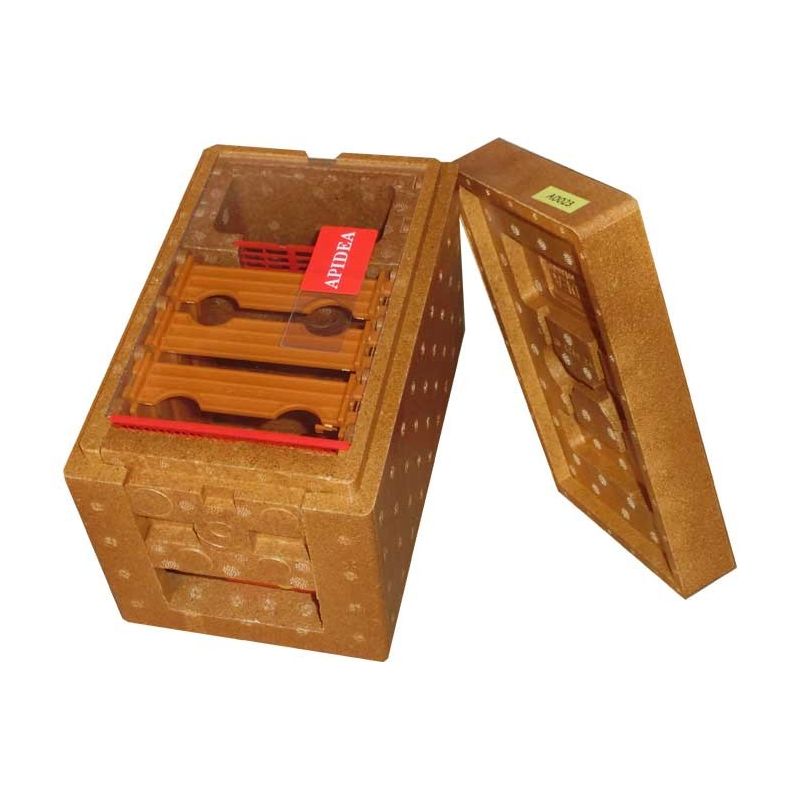 Nucleus hive fertilization apidea Nucleus hive fertilization apidea