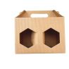 Cardboard box for 2 honey jars of 500 g (brown)