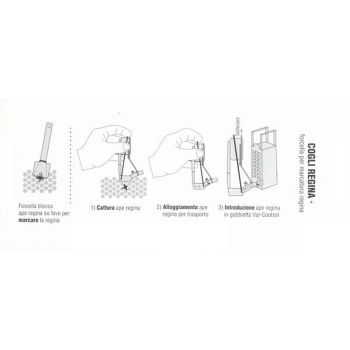 Queen catcher with queen blocking fork for beekeeping
