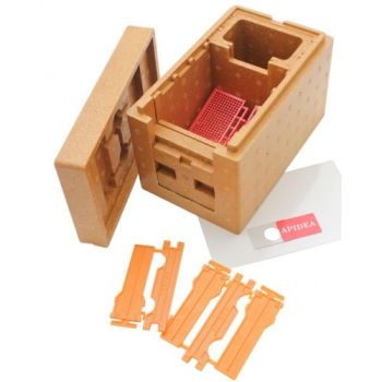 Nucleus hive fertilization apidea