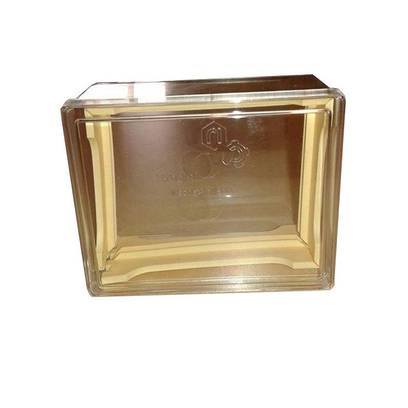 Mini nid d'abeilles français avec boîte transparente pour nid d'abeilles d.b.