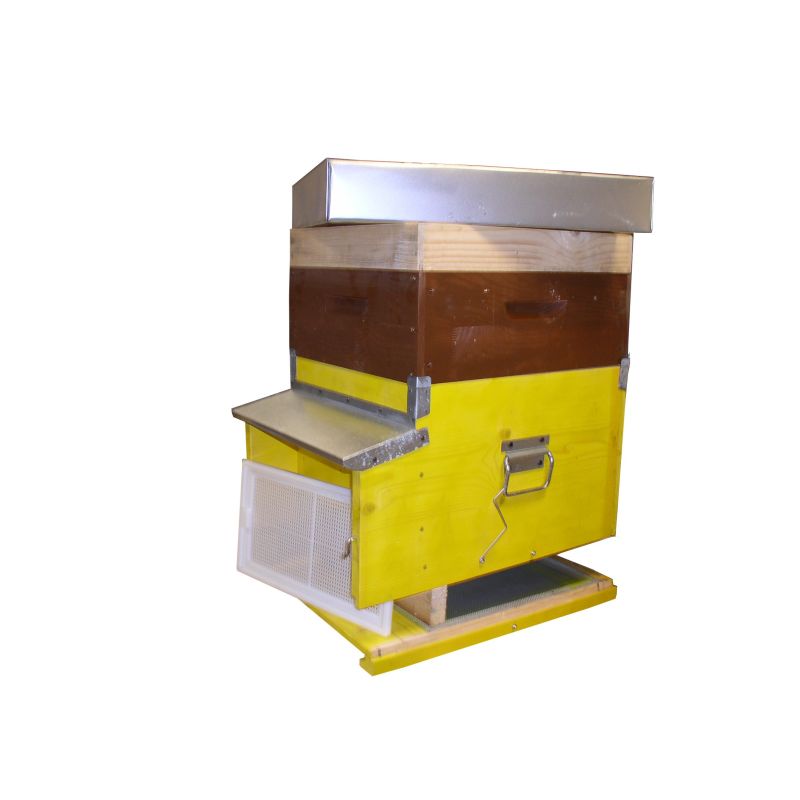 Dadant migratory beehive 10 honeycomb with mobile anti varroa bottom - super - 9 super frames and 10 hive frames