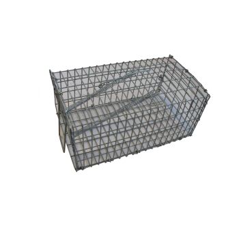 Trappe à souris à petit filet