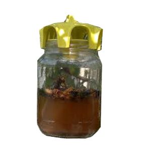 Yellow trap jar yellow insect trap cap for mounting on 1 kg honey type jars (conf. 2 pcs)