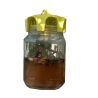Vaso trap il tappo trappola per vasi tipo miele da 1 kg  (confezione 2 pezzi)