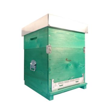 Dadant Cubic Beehive 12 Honeycomb With Fixed Anti Varroa Bottom + SUPER + 11 super frames + 12 hive frames with wire