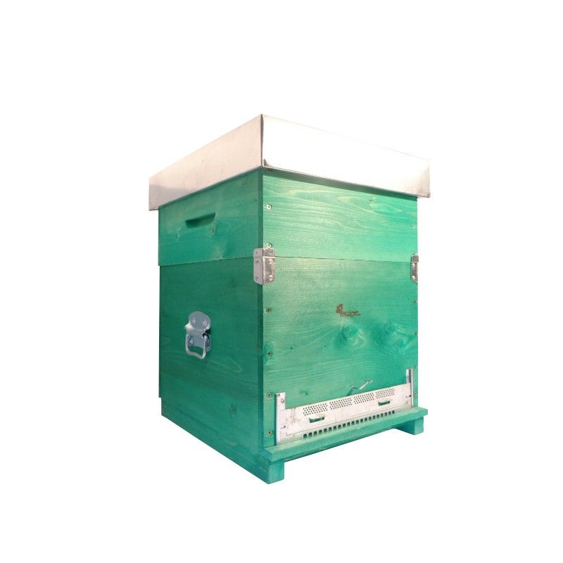Ruche d.b. 12 cube en nid d'abeilles avec fond fixe en filet anti-varroa - nid d'abeilles - 12 cadres de couvain et 11 super