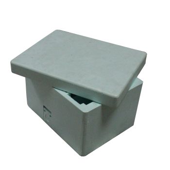 Polystyrene queen bee fertilization nucleus hive