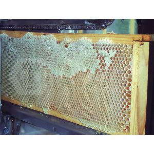Uncapping machine with alternating knives for honey super combs