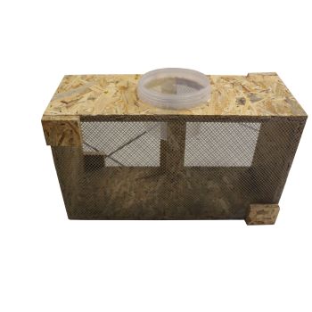 HIVE FOR PACKAGES OF BEES WITH FEEDER