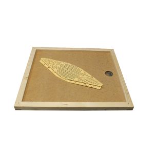 Ruche-abeilles avec échappement d.b. 12 cadres avec échappement d'abeilles en diamant