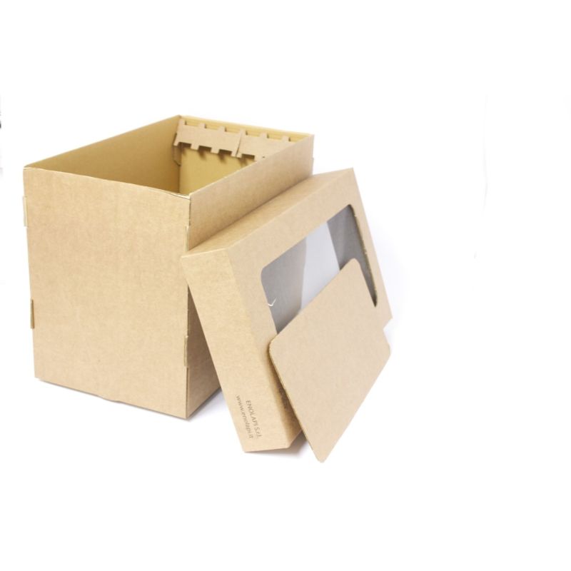 Caja de abejas - colmena de cartón 6 cuadros para montar