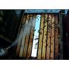 Cage d'exclusion de la reine isolateur pour nid d'abeilles d.b. nid d'abeilles - cage gb