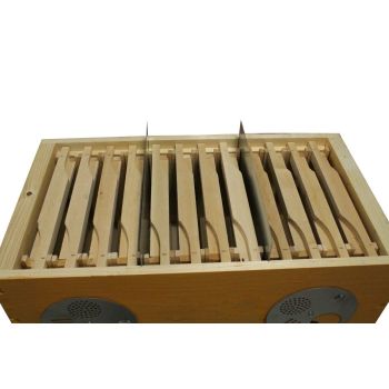 BEE REGINA FERTILIZATION HIVE 3 CHAMBERS WITH FRAMES HALF SUPER WITH DISC 4 POSITIONS