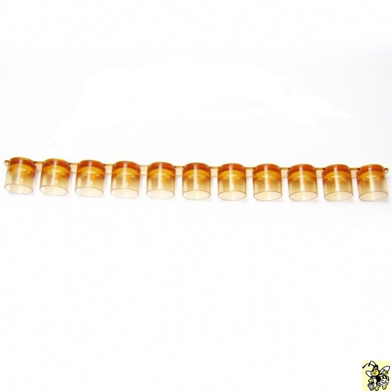 Bar of 11 domes for royal jelly production Bar of 11 domes for royal jelly production