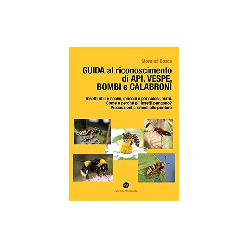 Guide to recognizing bees, wasps, bumblebees and bumblebees Guide to recognizing bees, wasps, bumblebees and bumblebees
