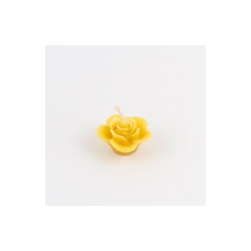 Candela rosa ( fiore piccolo)