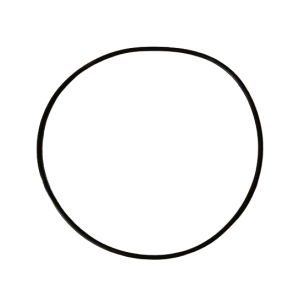 Dichtung – O-Ring für rotative Volumenpumpe