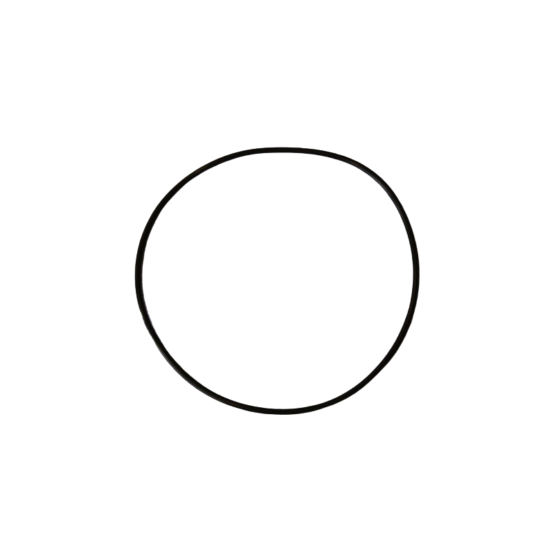 Dichtung – O-Ring für rotative Volumenpumpe