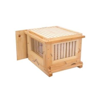 D.b. observation beehive cube 10 frames with glass - nest only