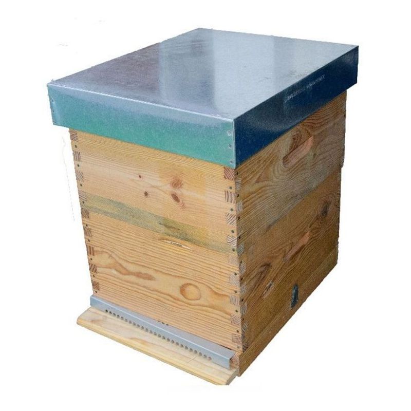 Beehive langstroth 10 frames with fixed bottom complete with honey super and frames