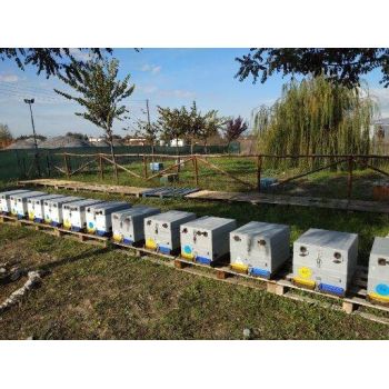 Colmena metálica triangular orientadora (paquete de 3)