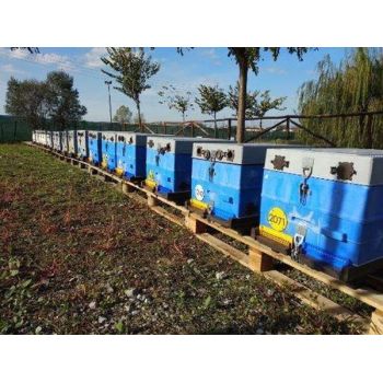 Colmena redonda de metal orientable