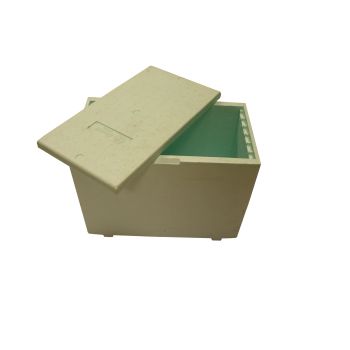 LANGSTROTH HIVE 6 HONEYCOMBS IN GREEN POLYSTYRENE