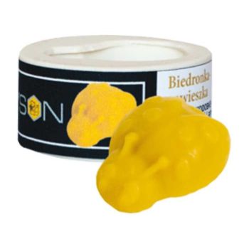 Stampo in silicone per coccinella pendente