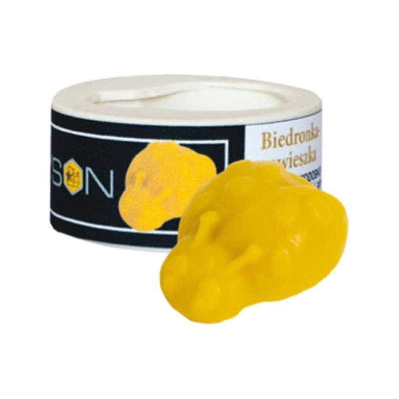 Stampo in silicone per coccinella pendente Stampo in silicone per coccinella pendente