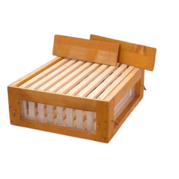 Observation nid d'abeille d.b. 10 cadres avec vitres
