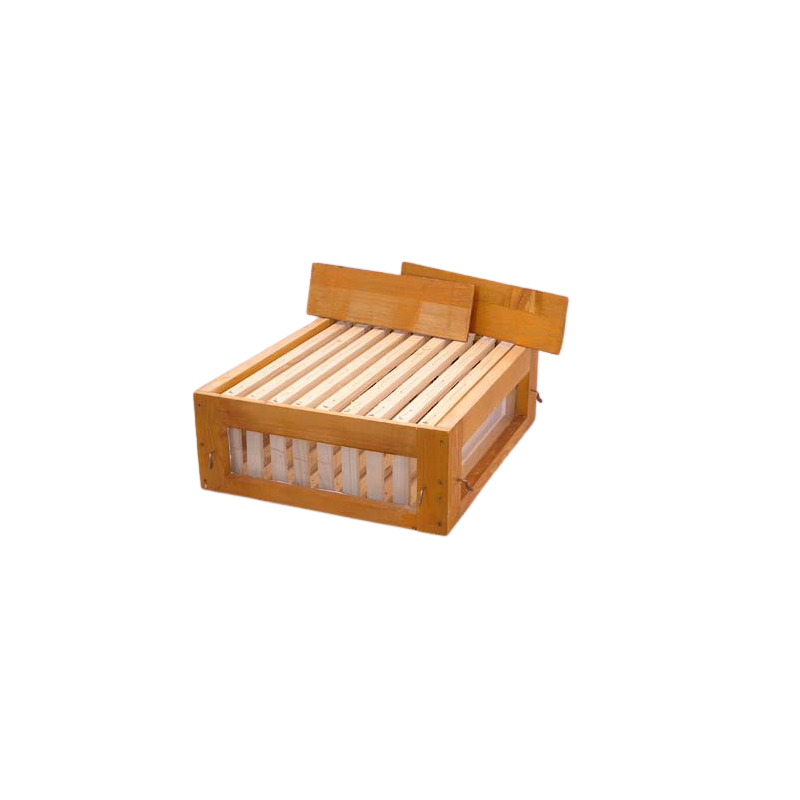 Beobachtungshonigraum D.B. 10 Waben mit Glas