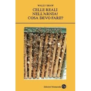 Real cells in my beehive! what should i do?