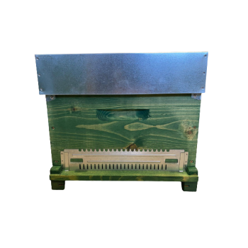 Beehives langstroth 10 frames with fixed bottom (nest only)