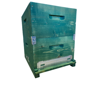 10-Waben-Langstroth-Beute, komplett mit Honigraum und Rähmchen