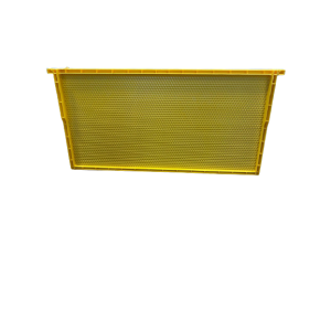 Beehives langstroth 10 frames complete with honey super and frames