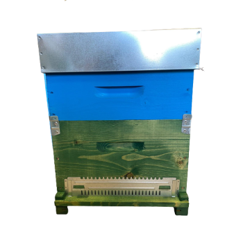 Beehives langstroth 10 frames complete with 1/2 honey super and frames