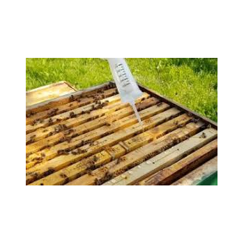 Bee-bioxal acide oxalique solution pour ruche avec glycérol (500 ml) - prêt à l'emploi