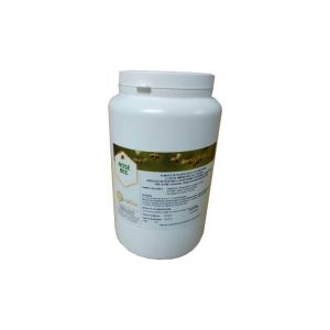 Abeille à nez - prévention et contrôle de la nosémiose en apiculture