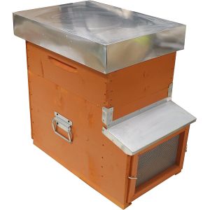 Dadant migratory beehive 8 honeycomb with fixed anti varroa bottom with super and frames with wax