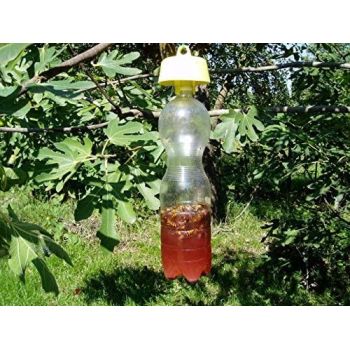 Tapón trampa para insectos amarillo para botellas (pack 5 uds.)